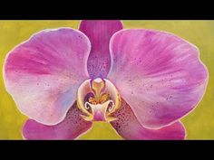 an oil painting of a pink orchid on yellow background with black border around the edges