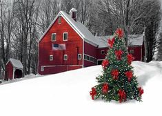 a christmas tree in front of a red barn