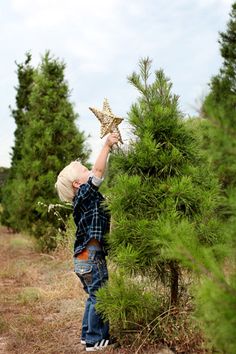 a young boy is reaching up to reach a star on top of a pine tree