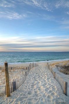 a sandy path leading to the ocean on a sunny day