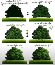 how to draw a tree in stages