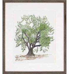 a drawing of a tree with green leaves on it's branches, in a brown frame