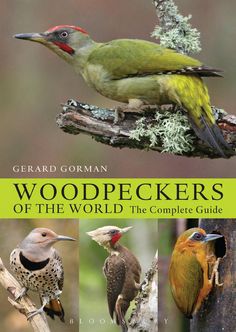 the book cover for woodpeckers of the world the complete guide