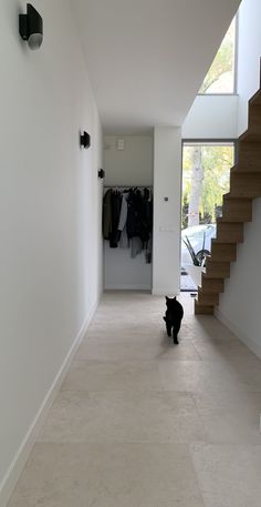 a black cat sitting in the middle of a hallway