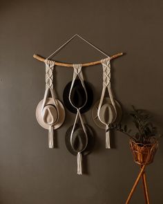 three hats hanging on a wall next to a potted plant