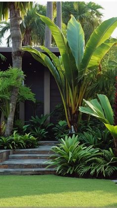 a lush green yard with palm trees and stairs