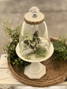 a glass clochet with some plants in it on top of a white plate