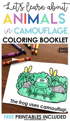 an animal coloring book with crayons and crayon pencils