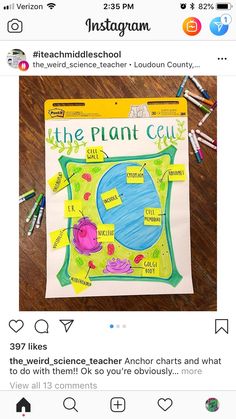 an instagramted photo of the plant cell with markers and crayons on it