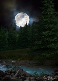 the full moon shines brightly in the night sky over a river and forest landscape