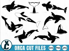 the orca cut files are available for purchase