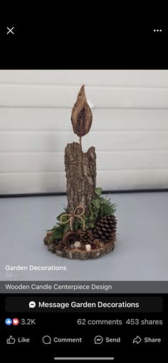 a bird sitting on top of a piece of wood next to pine cones and plants