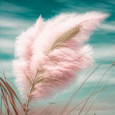 a pink feather is blowing in the wind