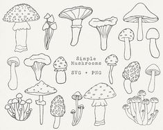 a bunch of different types of mushrooms on a white background with the words summer mushrooms svg and png