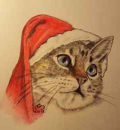 a drawing of a cat with a santa hat on it's head and blue eyes