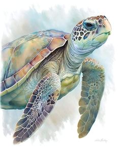 a painting of a green sea turtle