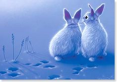 two white rabbits sitting next to each other in the snow