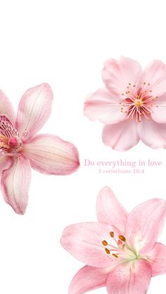 three pink flowers with the words do everything in love