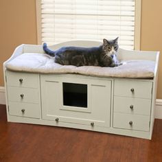 a cat laying on top of a white dog bed