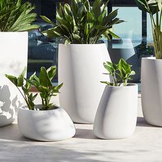 four white vases with plants in them on a table