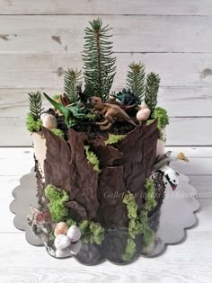 a cake that is decorated with plants and rocks