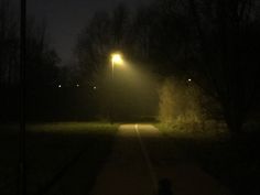 a person walking down a path at night with a street light in the distance and trees on either side