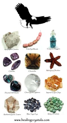 Crystal Seashells, Listen To Your Heart, Animal Totem, Gemstone Properties, Crystals Healing Properties, Medicine Wheel