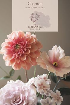 linda's baby dahlia, pink cosmos, blush rose, phlox sugar flowers Flower Inspiration, Floral Tape, Sugar Flowers, Basic Shapes, Colour Combinations