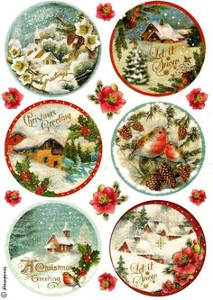 four christmas plates with birds and flowers on them