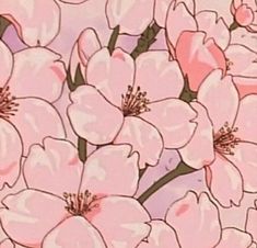 a bunch of pink flowers on a white background