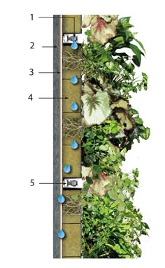 an overhead view of a garden with plants and water drops on the ground, along with instructions for planting