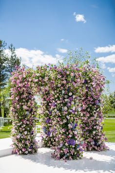 two large flowers are growing on the side of a wall in front of some grass