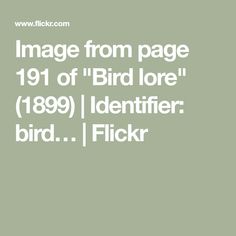 the text reads image from page 19 of bird lore 1989 identifier bird i flickr