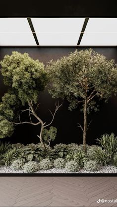 an indoor garden with trees and plants on the wall, in front of a black background