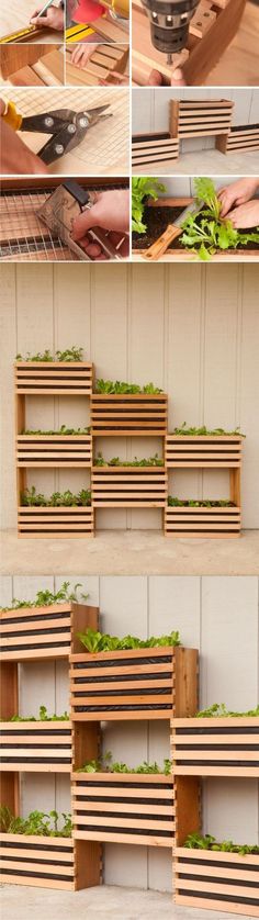 several different pictures of wooden shelves with plants growing on them, and in the middle