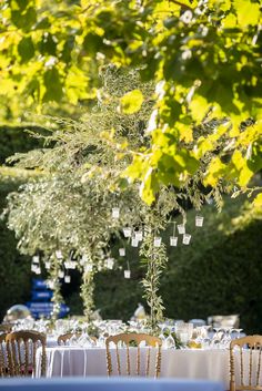 Lake Como, Outdoor Wedding, Olive Tree Centerpiece, Rustic Charm, Sunlit Sitting, Elegant Decor, Destination Celebration, Natural Aesthetics