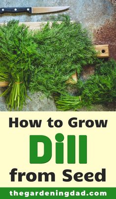 a bunch of dill on a cutting board with the title how to grow dill from seed