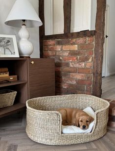 a dog is laying in his bed on the floor