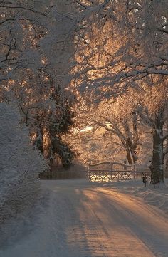 a person walking down a snow covered road next to trees and a wooden bridge in the distance