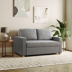 a living room scene with focus on the couch