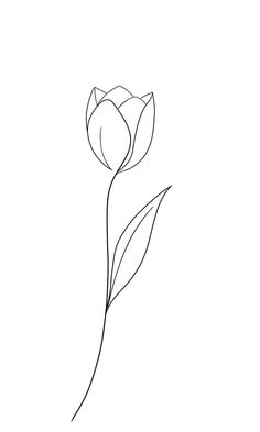 the outline of a single flower on a white background