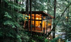 a cabin nestled in the woods surrounded by trees