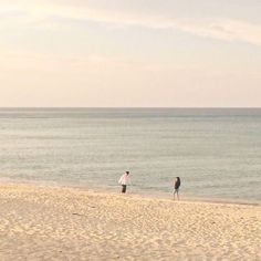 two people walking on the beach with a kite flying in the sky over the ocean