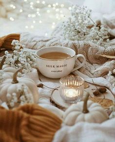 a cup of coffee sitting on top of a bed next to white pumpkins and baby's breath