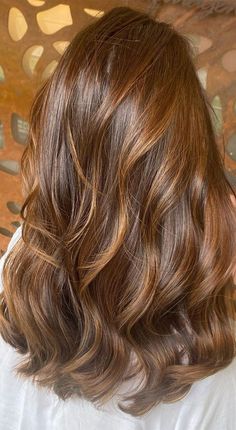 Light Bronze Hair, Medium Copper Brown Hair, Hair With Highlights, Hair Color Shades