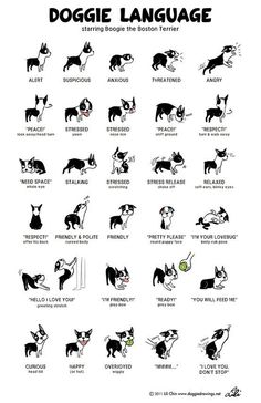 a sign with dogs and their names on it