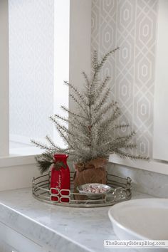 a small christmas tree sitting on top of a counter