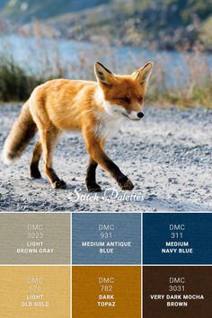 a red fox walking across a gravel road next to water and hills in the background