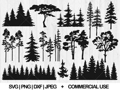 the silhouettes of different trees and bushes are shown in black on white paper, which is