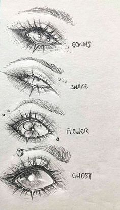 the different types of eyes and how they are used to make them look like they're